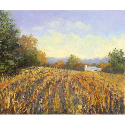 Corn Rows Black Modern Wood Framed Art Print with Double Matting by Weber, Mary Jean