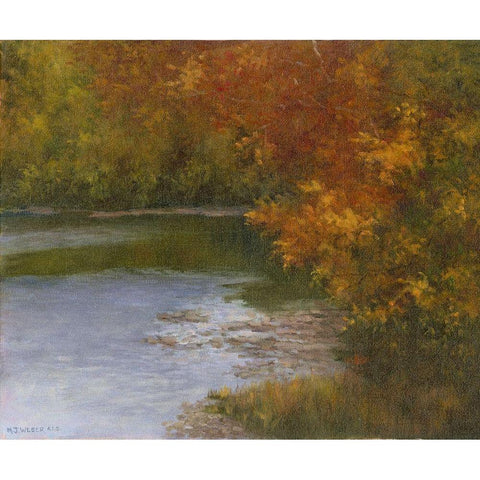 Rivershade Black Modern Wood Framed Art Print by Weber, Mary Jean