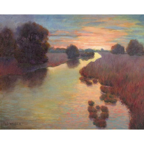 Evening Wetlands Black Modern Wood Framed Art Print by Weber, Mary Jean