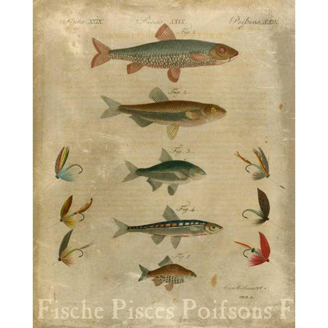Pisces Composition I Black Modern Wood Framed Art Print with Double Matting by Vision Studio