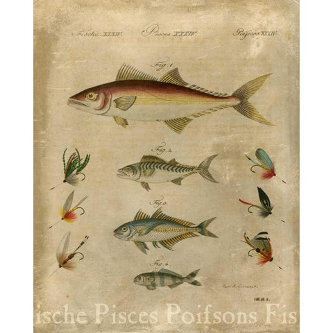 Pisces Composition II White Modern Wood Framed Art Print by Vision Studio
