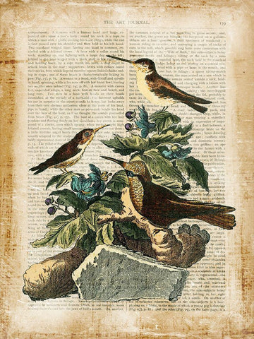 Antiquarian Birds IV White Modern Wood Framed Art Print with Double Matting by Vision Studio