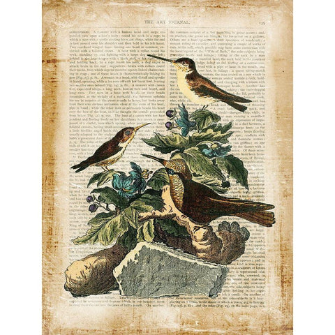 Antiquarian Birds IV Black Modern Wood Framed Art Print by Vision Studio