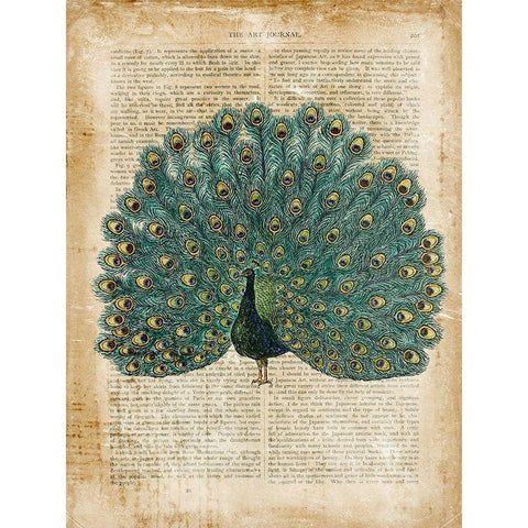 Antiquarian Birds V Black Modern Wood Framed Art Print with Double Matting by Vision Studio