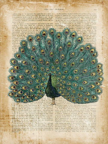 Antiquarian Birds V Black Ornate Wood Framed Art Print with Double Matting by Vision Studio