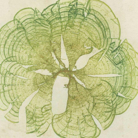 Brilliant Seaweed VIII White Modern Wood Framed Art Print by Vision Studio