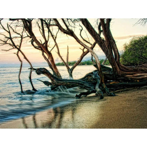 Reaching for the Sea I Black Modern Wood Framed Art Print by Head, Danny