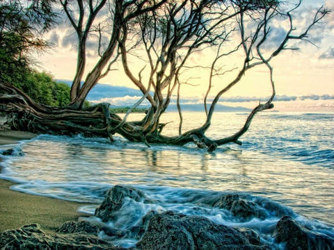 Reaching for the Sea II White Modern Wood Framed Art Print with Double Matting by Head, Danny