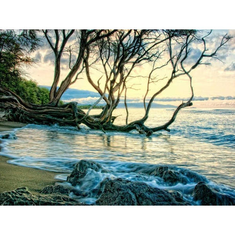 Reaching for the Sea II Black Modern Wood Framed Art Print by Head, Danny