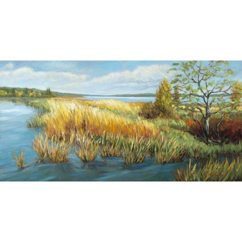 Marsh Edge Black Modern Wood Framed Art Print with Double Matting by Pfannmuller, A. A.
