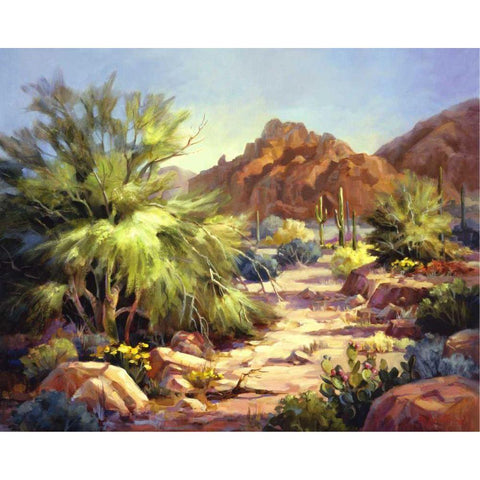 Desert Beauty Black Modern Wood Framed Art Print with Double Matting by Johnston, Maxine