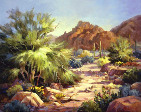 Desert Beauty White Modern Wood Framed Art Print with Double Matting by Johnston, Maxine