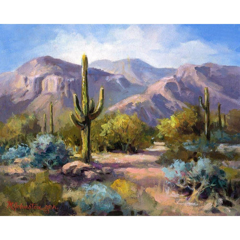 Catalina Mountain Foothills White Modern Wood Framed Art Print by Johnston, Maxine