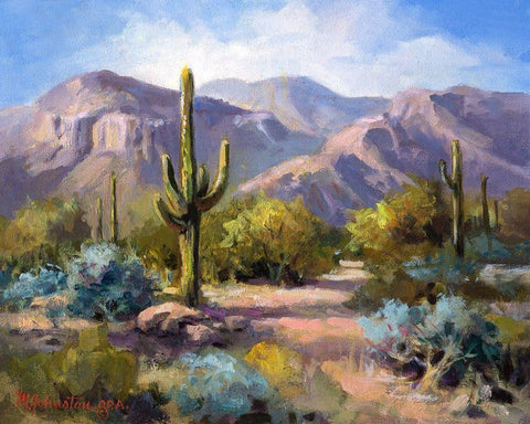 Catalina Mountain Foothills White Modern Wood Framed Art Print with Double Matting by Johnston, Maxine