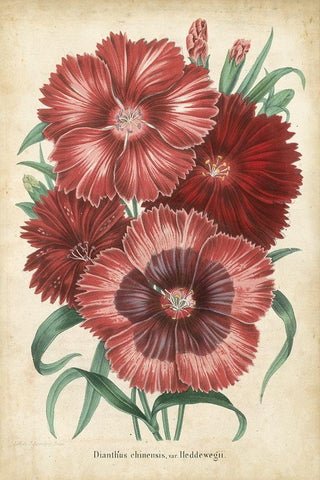 Summer Medley II Black Ornate Wood Framed Art Print with Double Matting by Severeyns
