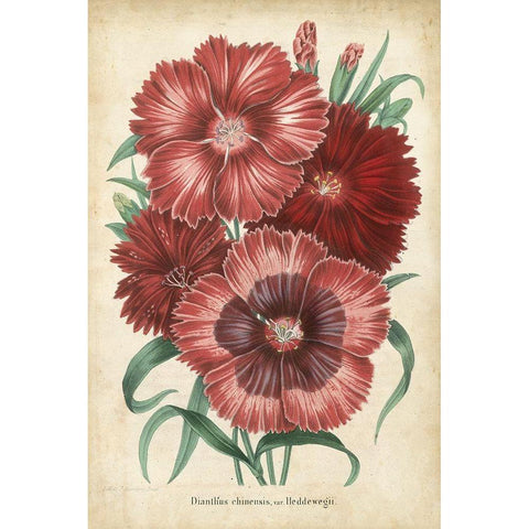 Summer Medley II Black Modern Wood Framed Art Print by Severeyns