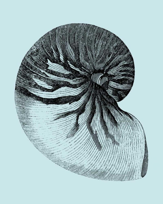 Image Only
