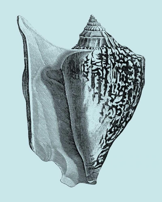 Image Only