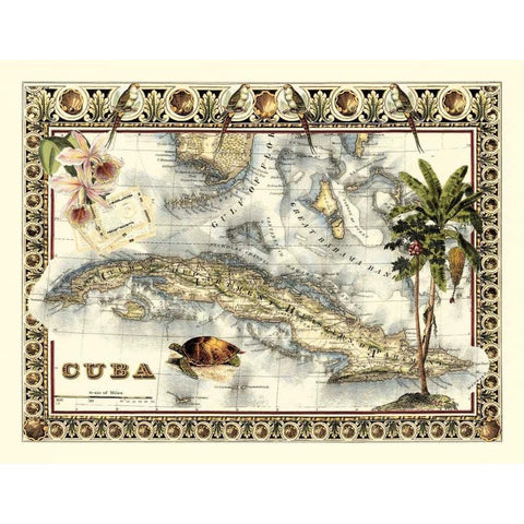 Tropical Map of Cuba Black Modern Wood Framed Art Print with Double Matting by Vision Studio
