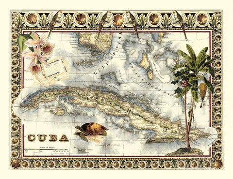 Tropical Map of Cuba White Modern Wood Framed Art Print with Double Matting by Vision Studio