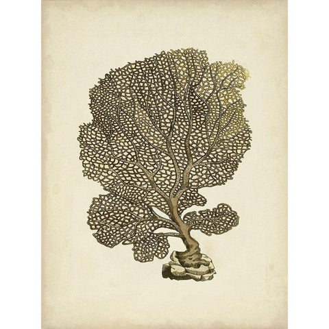 Sealife Collection VIII Gold Ornate Wood Framed Art Print with Double Matting by Vision Studio