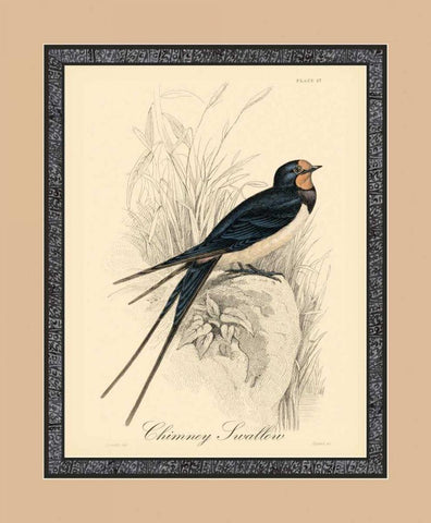 Printed Chimney Swallow White Modern Wood Framed Art Print with Double Matting by Apogee Art Services
