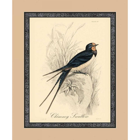Printed Chimney Swallow Black Modern Wood Framed Art Print by Apogee Art Services