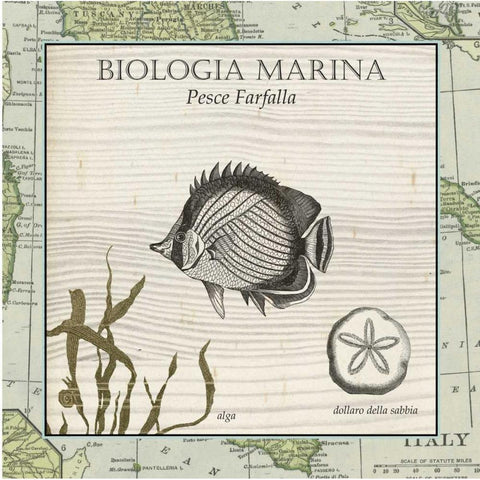 Biologia Marina I Gold Ornate Wood Framed Art Print with Double Matting by Vision Studio