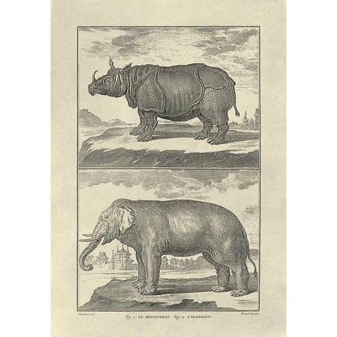 Elephant and Rhino Black Modern Wood Framed Art Print by Diderot, Denis