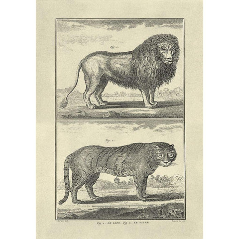 Lion and Tiger Black Modern Wood Framed Art Print by Diderot, Denis