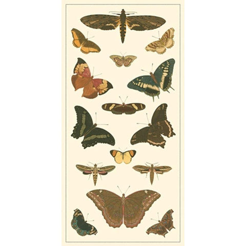 Cramer Butterfly Panel II  Black Modern Wood Framed Art Print with Double Matting by Pieter, Cramer