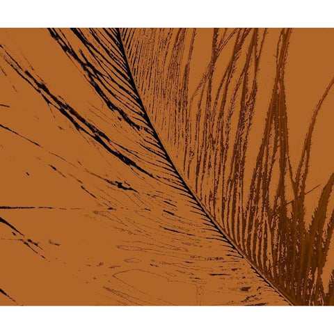 Feathered Impression II White Modern Wood Framed Art Print by Vision Studio