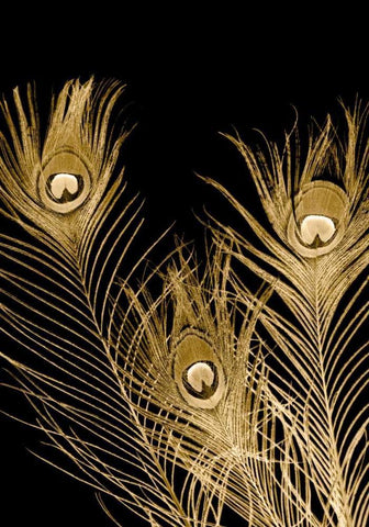 Plumes Dor I Black Ornate Wood Framed Art Print with Double Matting by Johnson, Jason