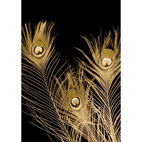 Plumes Dor I White Modern Wood Framed Art Print by Johnson, Jason