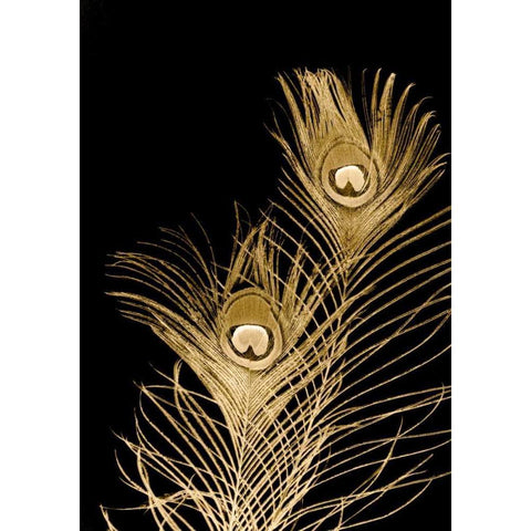 Plumes Dor II Gold Ornate Wood Framed Art Print with Double Matting by Johnson, Jason