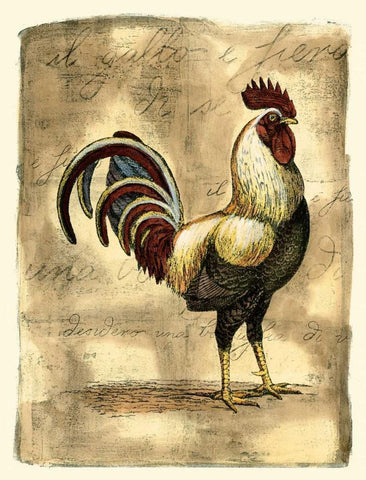 Tuscany Rooster I White Modern Wood Framed Art Print with Double Matting by Bookman, D.