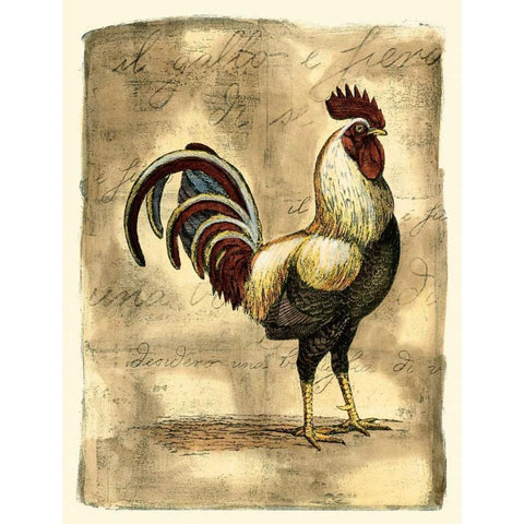 Tuscany Rooster I White Modern Wood Framed Art Print by Bookman, D.