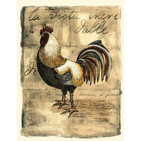 Tuscany Rooster II White Modern Wood Framed Art Print by Bookman, D.