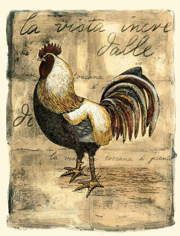 Tuscany Rooster II Black Ornate Wood Framed Art Print with Double Matting by Bookman, D.