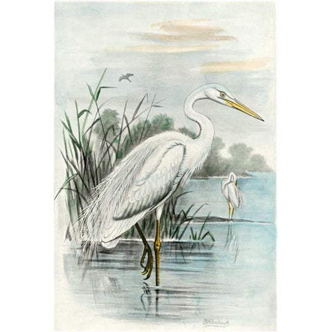 Oversize White Heron White Modern Wood Framed Art Print by unknown