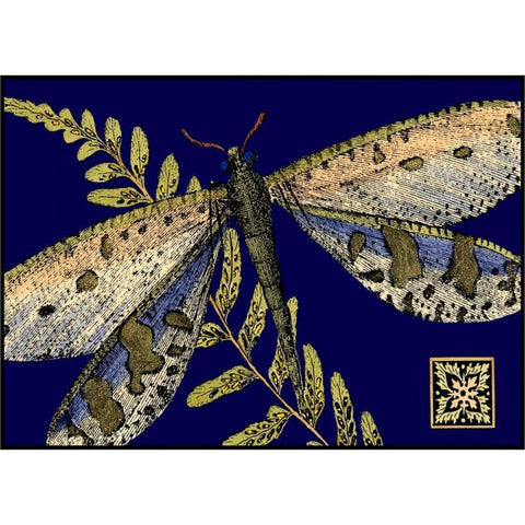 Mini Shimmering Dragonfly III White Modern Wood Framed Art Print by Vision Studio