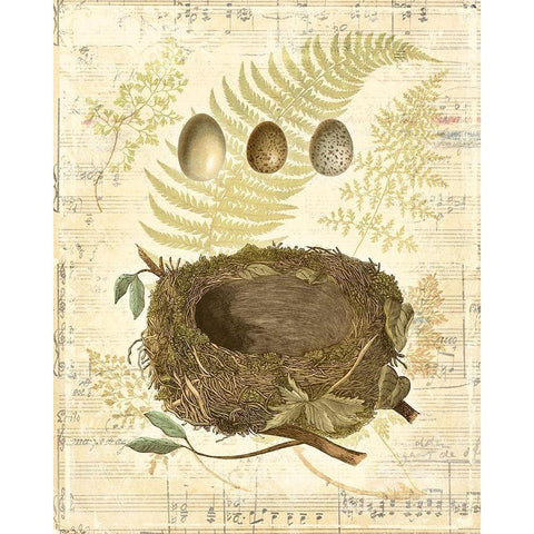 Melodic Nest and Eggs I White Modern Wood Framed Art Print by Vision Studio