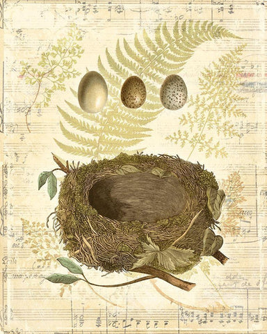 Melodic Nest and Eggs I Black Ornate Wood Framed Art Print with Double Matting by Vision Studio