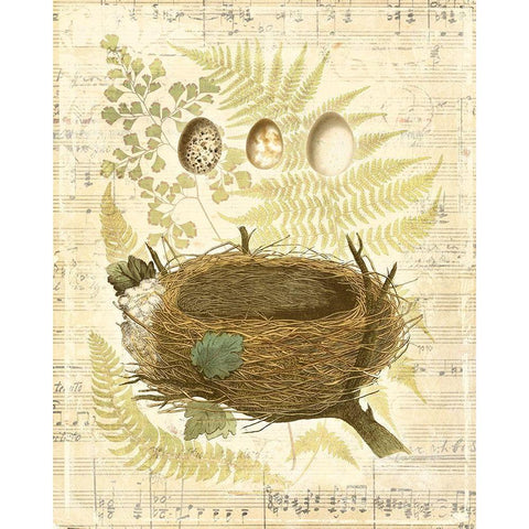 Melodic Nest and Eggs II Gold Ornate Wood Framed Art Print with Double Matting by Vision Studio