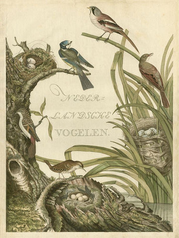 Sanctuary for Birds Black Ornate Wood Framed Art Print with Double Matting by Nozeman