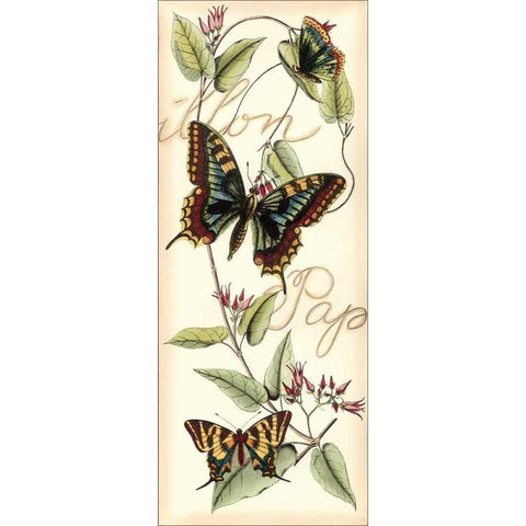 Butterfly Flight I Black Modern Wood Framed Art Print with Double Matting by Vision Studio