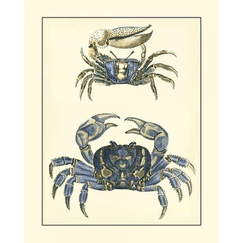 Antique Blue Crabs II White Modern Wood Framed Art Print by Vision Studio