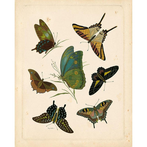 Antique Entomology I White Modern Wood Framed Art Print by Vision Studio