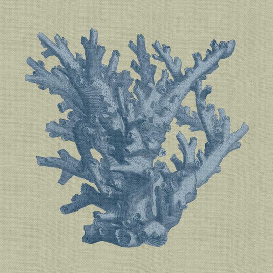 Image Only