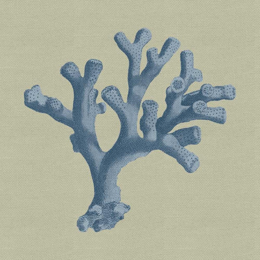 Image Only